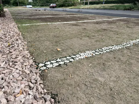Зелені парковки в Черкасах: чи стануть вони альтернативою асфальту