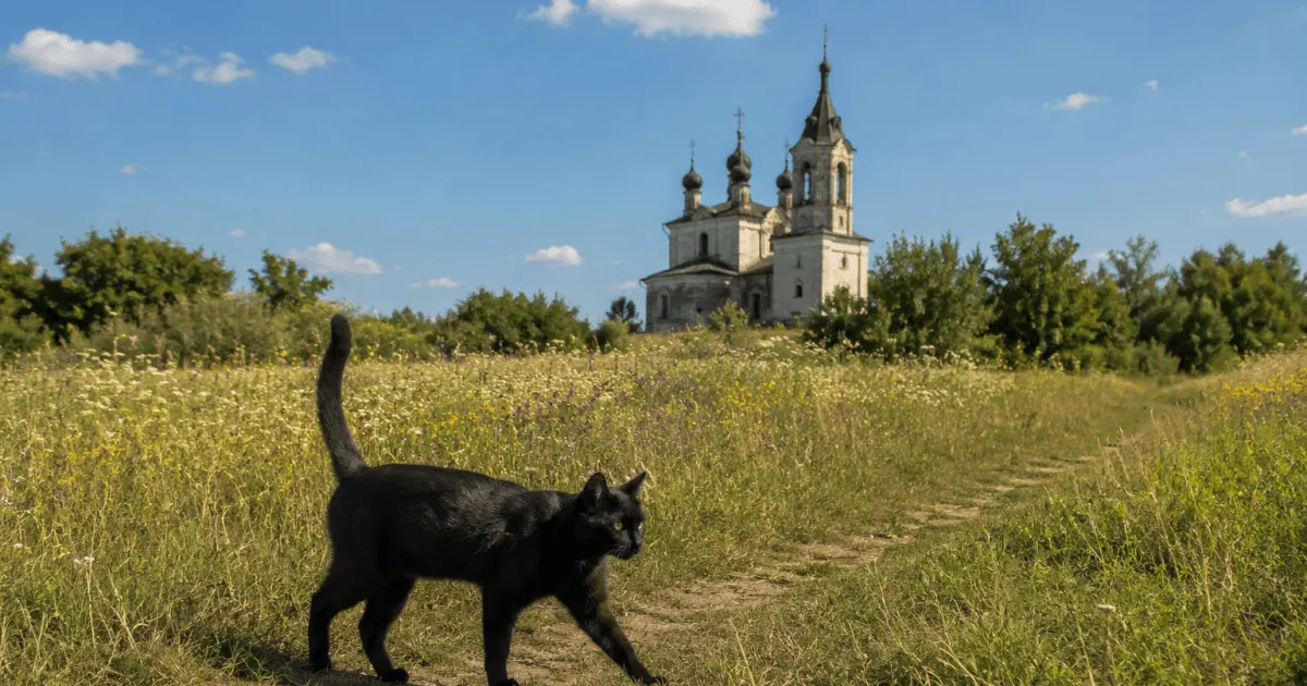 14 серпня: що не можна робити, щоб уникнути фінансових труднощів