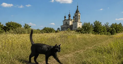 14 серпня: що не можна робити, щоб уникнути фінансових труднощів