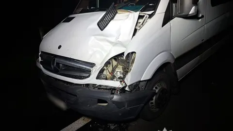 На Сумщині під колесами Mercedes загинув пішохід