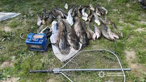 Електролов сомів на Десні: браконьєрам загрожує до трьох років в'язниці