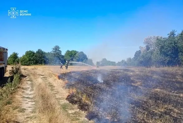 7 пожеж за добу: на Волині вогонь охопив понад 6 гектарів