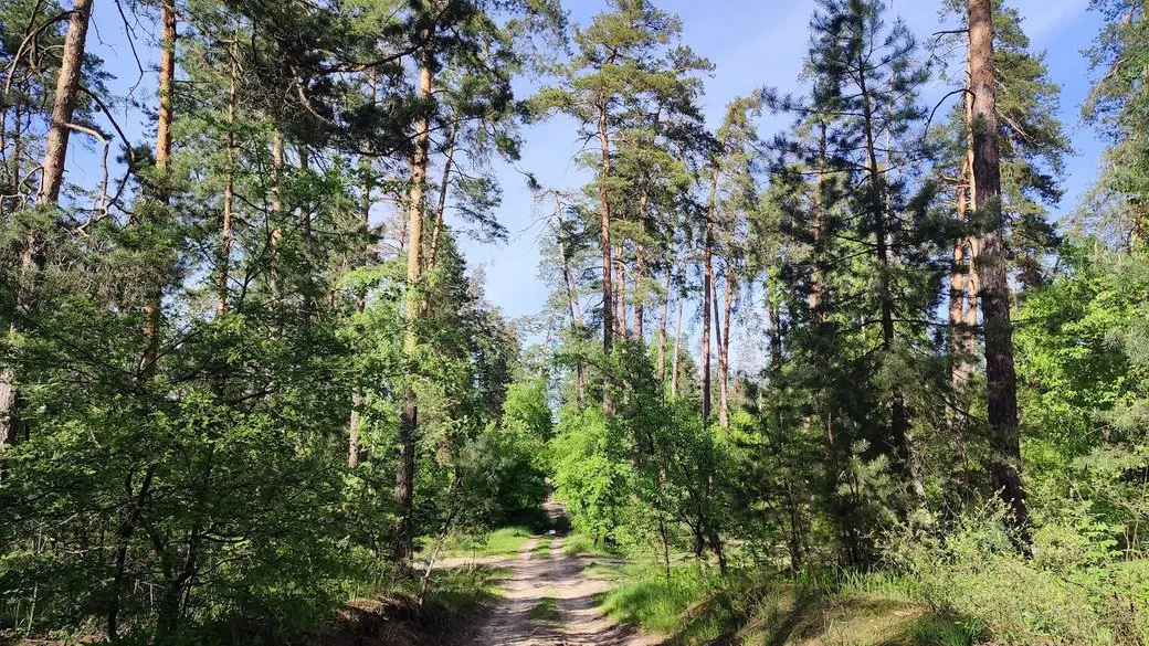 На Черкащині до 14 серпня діятиме надзвичайна пожежна небезпека