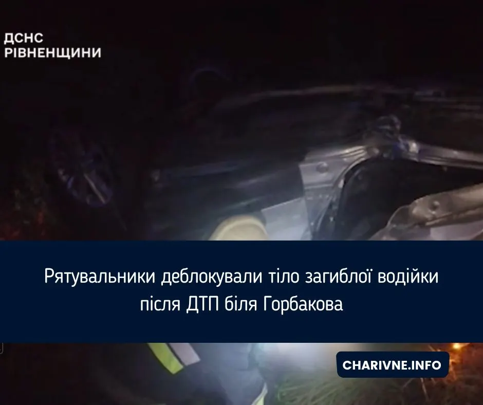 Смертельна ДТП біля Горбакова: що відомо про аварію на трасі Київ—Чоп