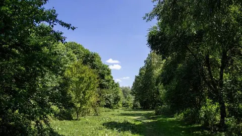 У Скнилівському парку Львова знайшли тіло зниклого чоловіка