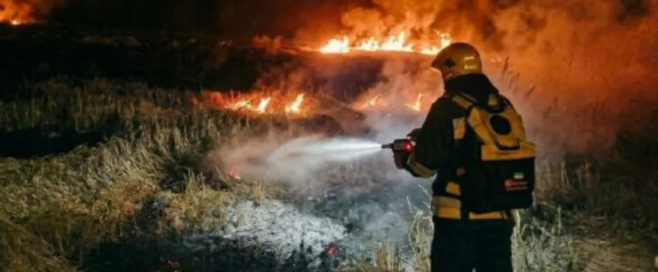Пожежі на Тернопільщині: вогонь охопив понад 2,5 гектара полів
