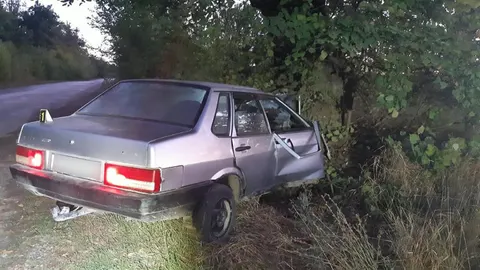 Нічна ДТП на Тернопільщині: п'яний водій врізався в дерево, постраждали пасажири