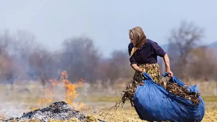 Спалювання листя у Вінниці: штрафи до 1360 гривень, працюють 8 мобільних груп