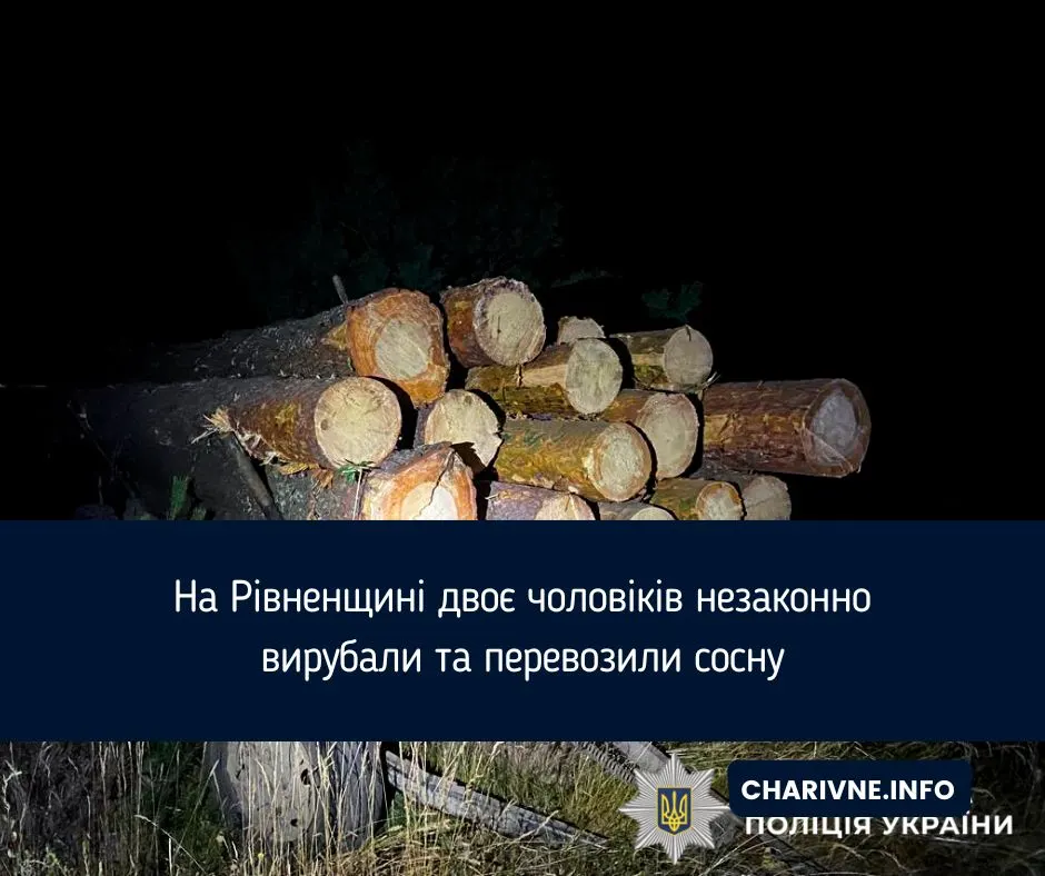 На Рівненщині затримали двох чоловіків за незаконну вирубку сосни