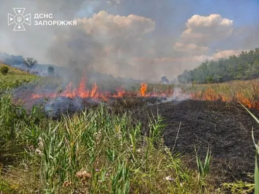Понад 400 га полів і лісів вигоріли на Запоріжжі через обстріли