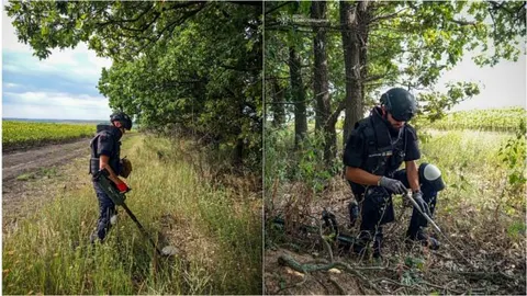 Тернопільські сапери розміновують Харківщину: як повертають землю людям