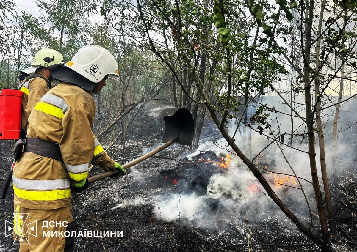 Пожежі на Миколаївщині завдали довкіллю збитків на понад 814 млн грн