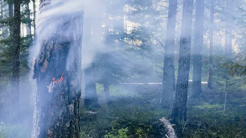 Чернігів знову під атакою РФ: у парку «Ялівщина» зафіксували наслідки удару