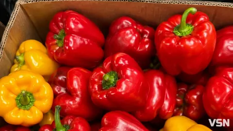 Скільки коштує солодкий перець на ринках Луцька: ціни та асортимент