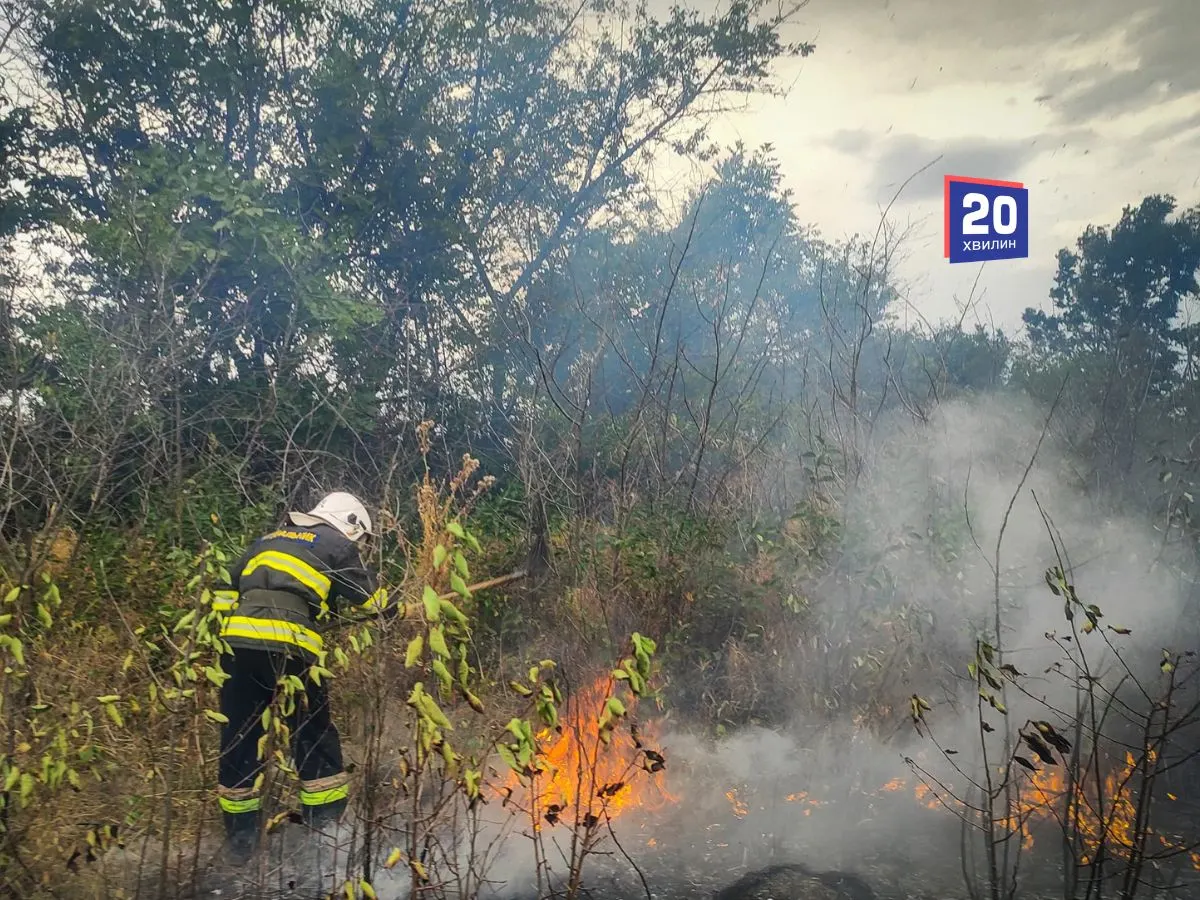 Шість гектарів вигоріло на Вінниччині за добу: що це означає