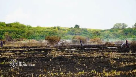 Майже 40 пожеж сухостою за добу: що це означає для Львівщини