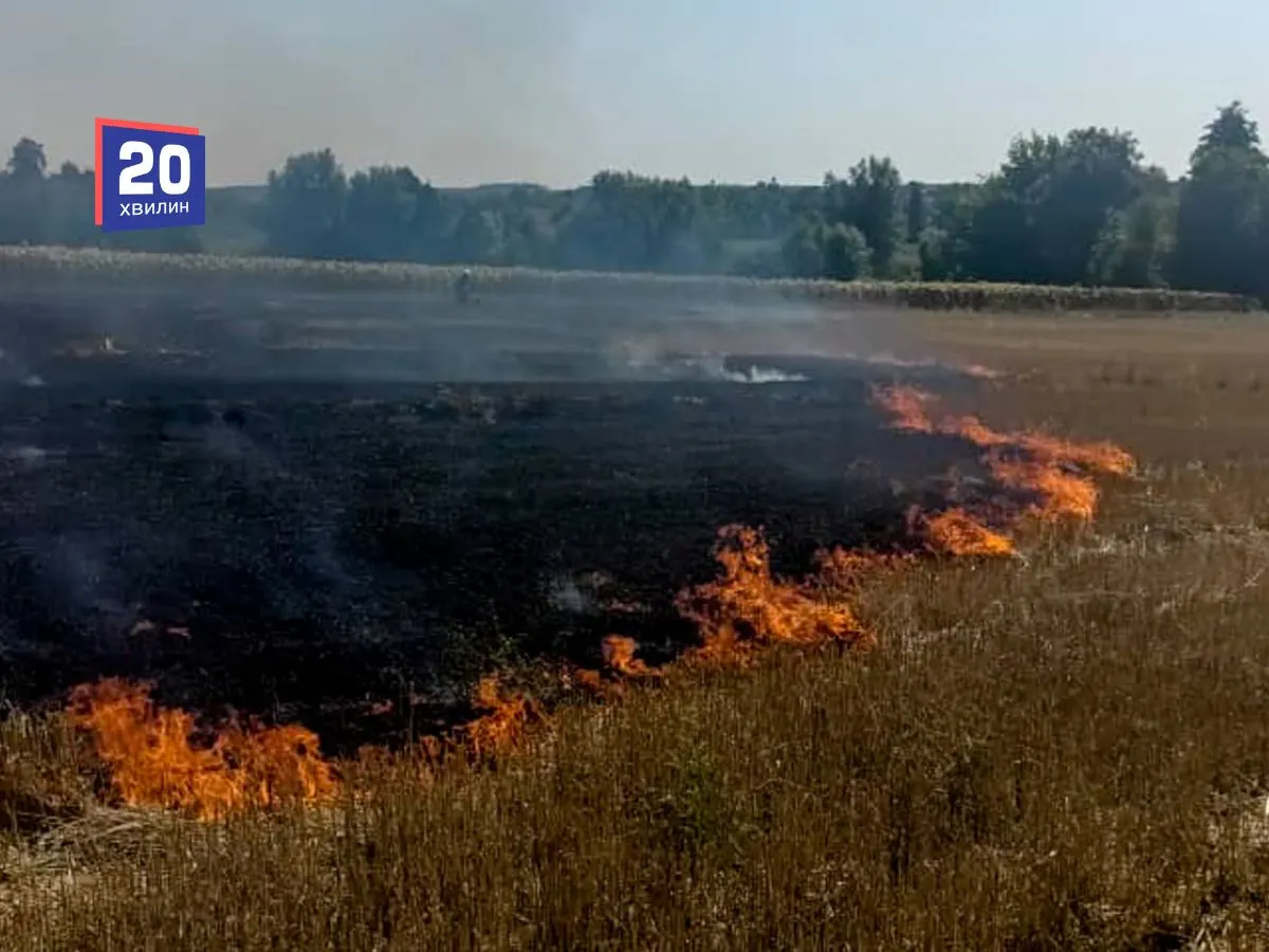 Спалювання листя у Вінниці: штрафи до 1700 гривень