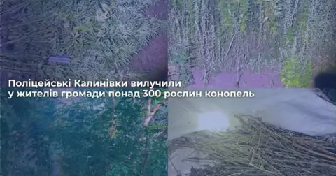 Виклик про насильство у Вінницькій області привів поліцію до вилучення понад 300