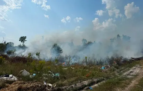 На Волині рятувальники загасили пожежу на пів гектара
