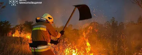 На Миколаївщині через пожежу сухостою загинув чоловік: що відомо