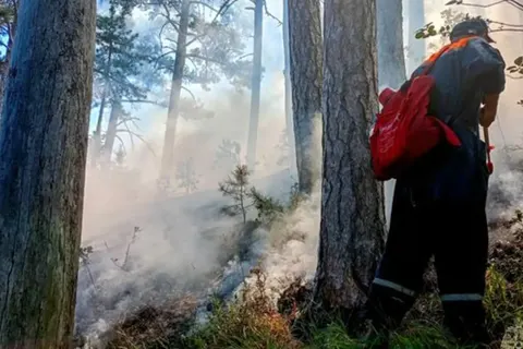 Лісова пожежа в Ялті: шостий день боротьби з вогнем у горах
