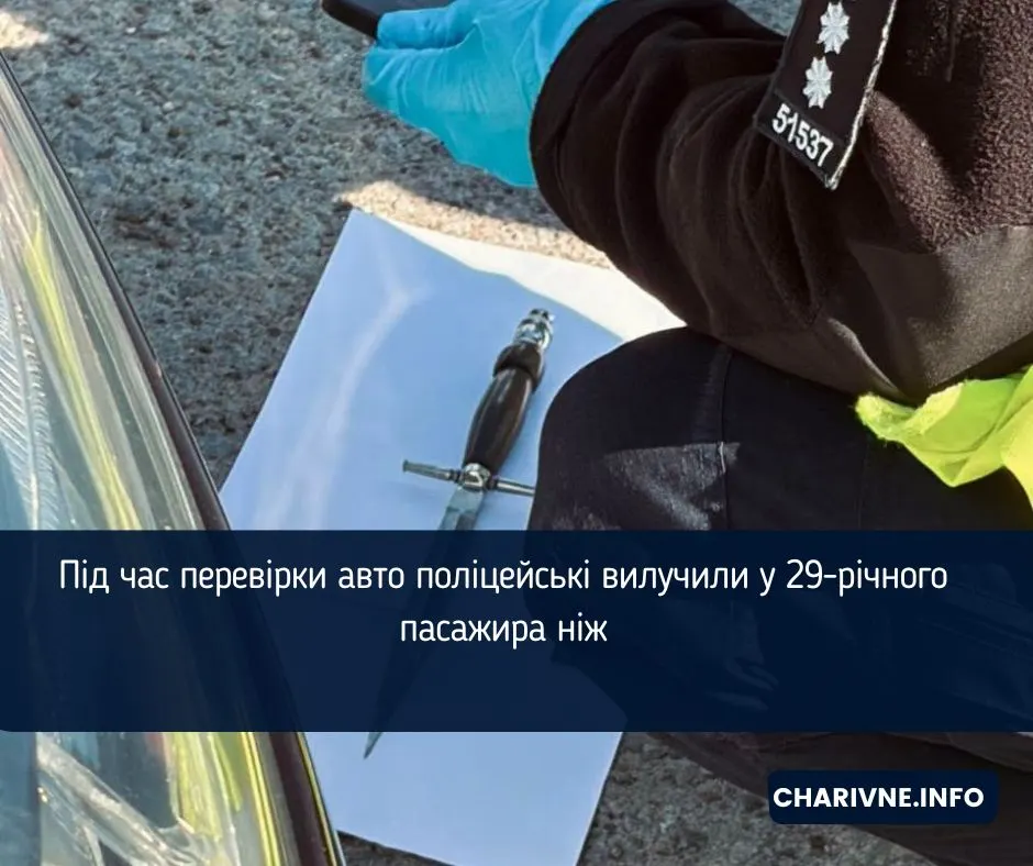 На трасі Київ — Чоп у пасажира ВАЗа вилучили ніж: що це означає
