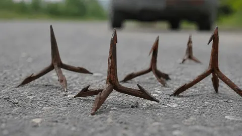 «Часники» на дорогах Дніпропетровщини: що відомо та як діяти водіям