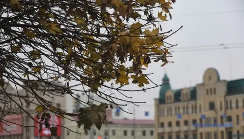 Хмарно та до +25°: прогноз погоди на 7 вересня