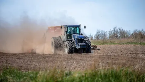 Посуха на Дніпропетровщині затримує сівбу озимих: що це означає для аграріїв