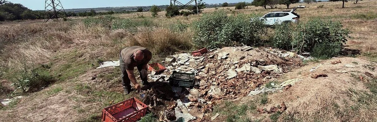 На Миколаївщині підтвердили незаконне звалище відходів забою худоби