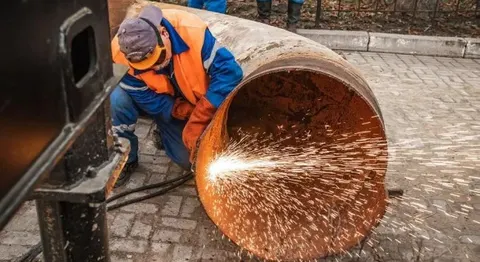 Теремки: чинний проєкт тепломережі залишається, але дерева збережуть