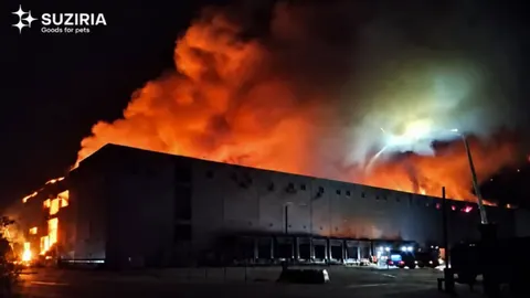 Удар по складу Suziria Group: що означає втрата 8 000 м² для ринку зоотоварів
