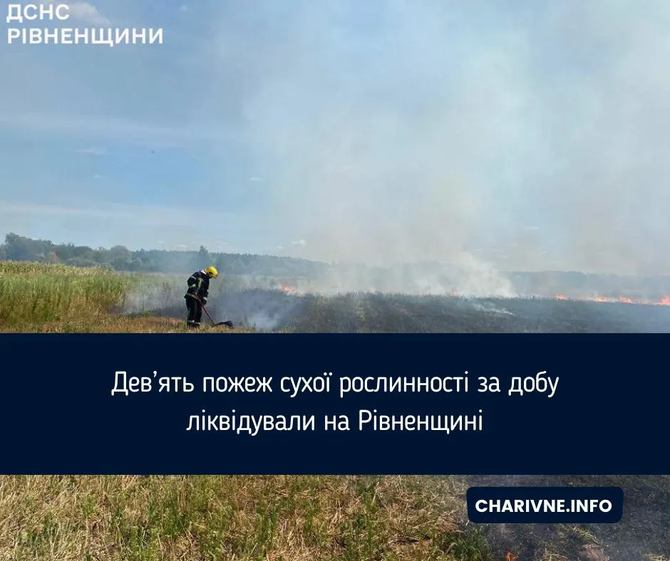 Дев'ять пожеж сухої трави на Рівненщині за добу: що це означає для регіону