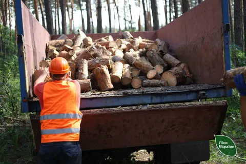 Дрова на Харківщині: попит зріс удвічі, де черги та скільки чекати