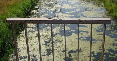 Турський канал на Волині: водний шлях між двома морями