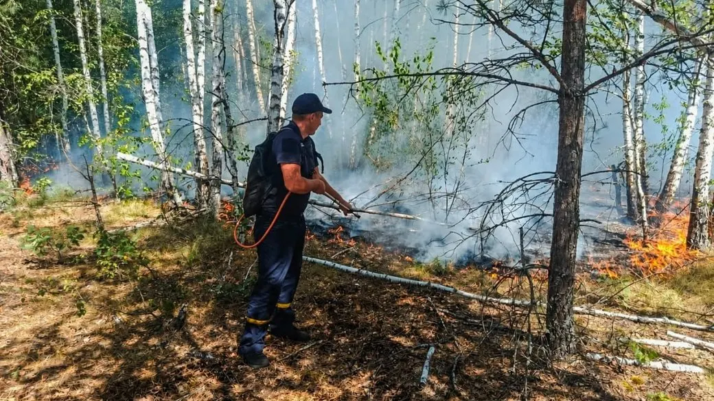 П'ять лісових пожеж на Житомирщині: що відомо про ситуацію