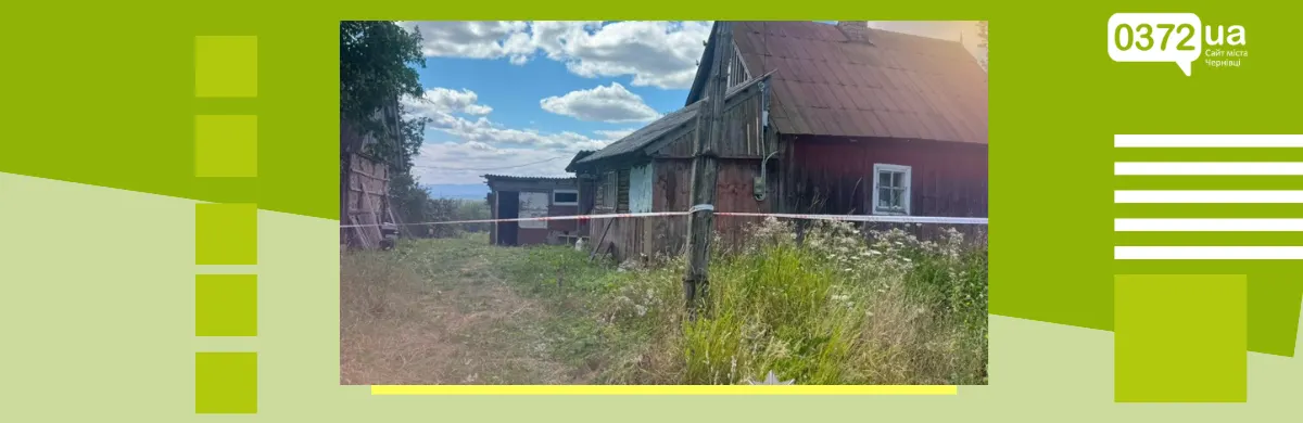 Смертельна бійка на Буковині: чоловіка забили стільцем