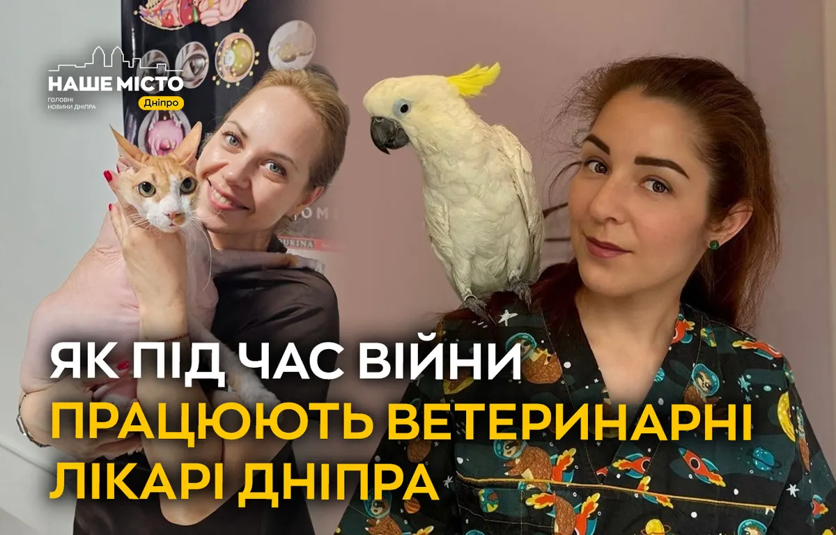 Війна, скази та врятовані лапи: як працюють ветеринари Дніпра