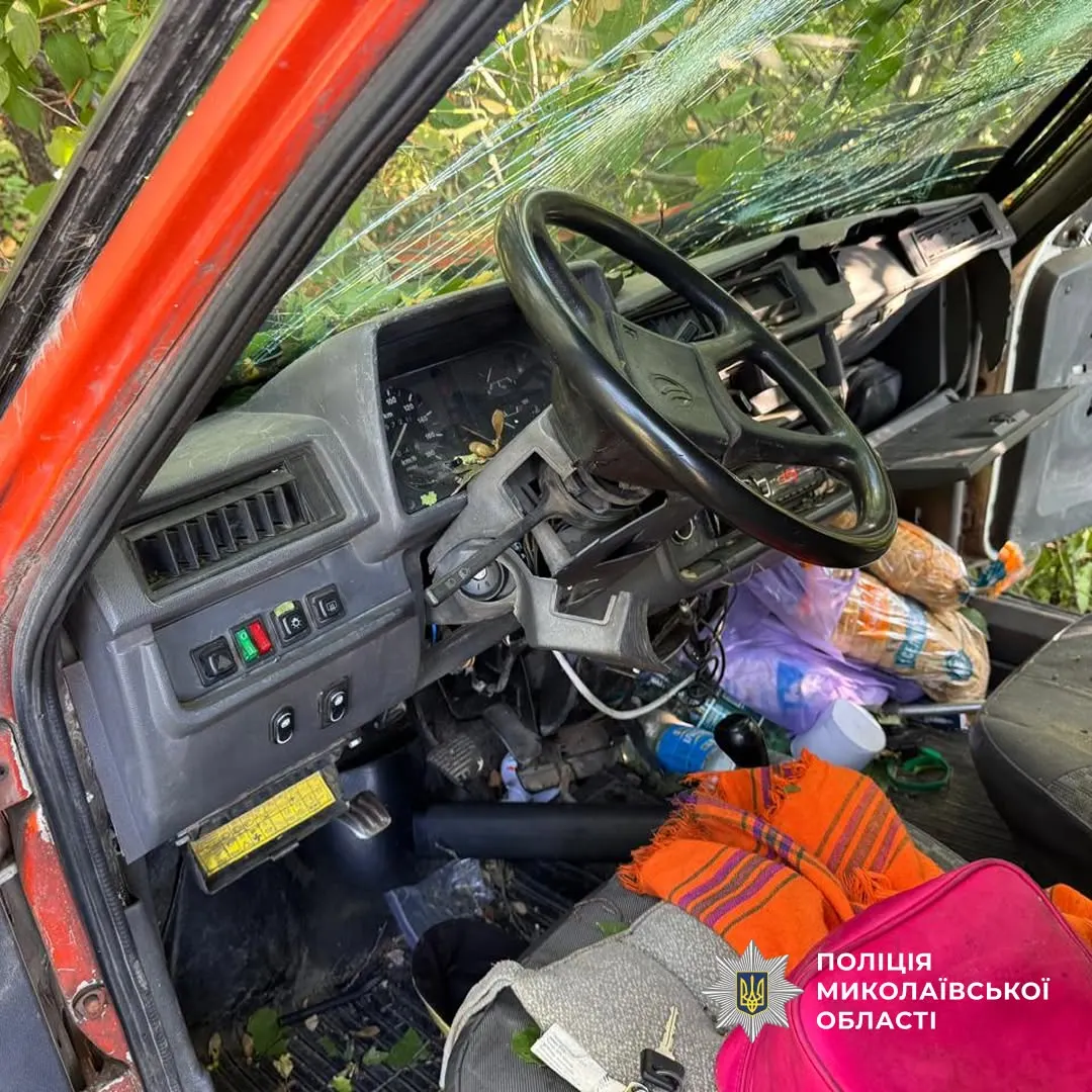 ДТП на Миколаївщині: авто злетіло в кювет і врізалося в дерево, двоє травмованих