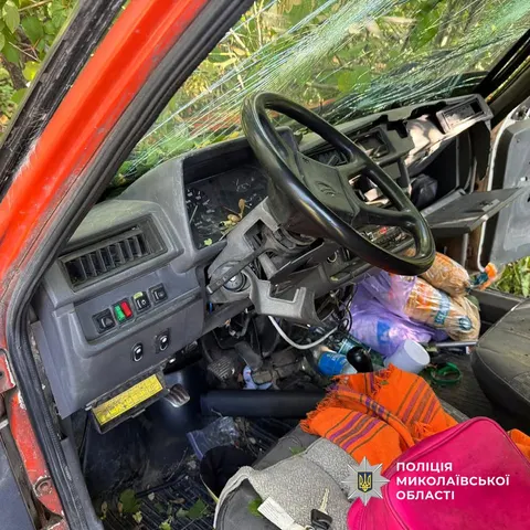 ДТП на Миколаївщині: авто злетіло в кювет і врізалося в дерево, двоє травмованих