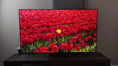 OLED-телевізори 2026: які флагмани Samsung, LG та Sony варті уваги