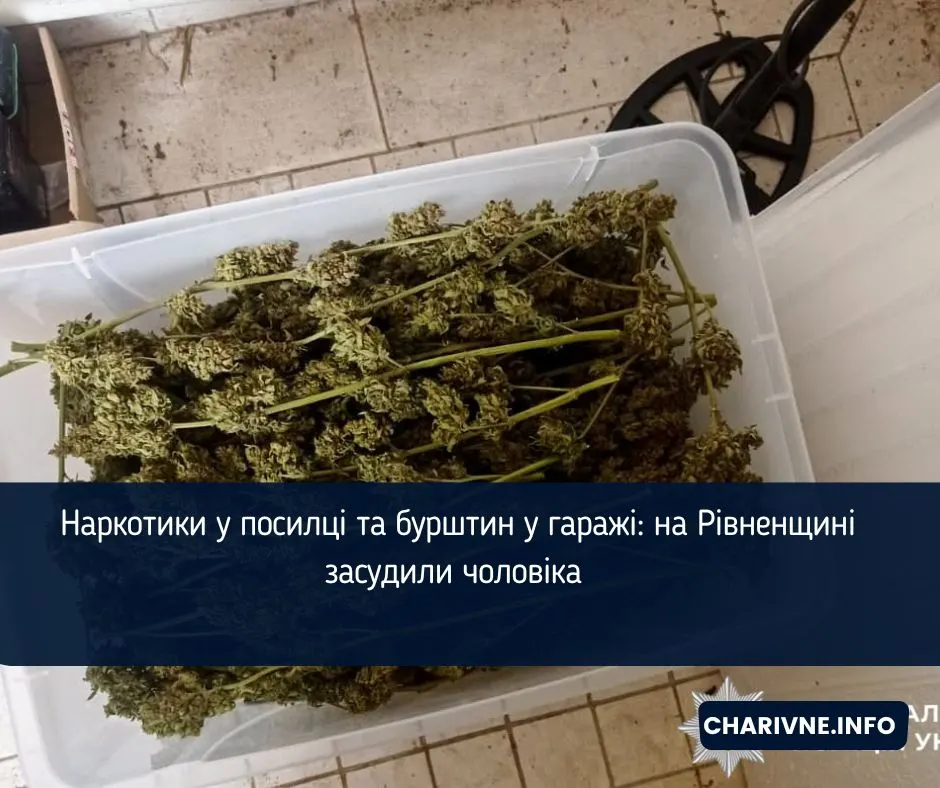 Дев'ять років за ґратами: на Рівненщині засудили чоловіка за наркотики, бурштин і патрони