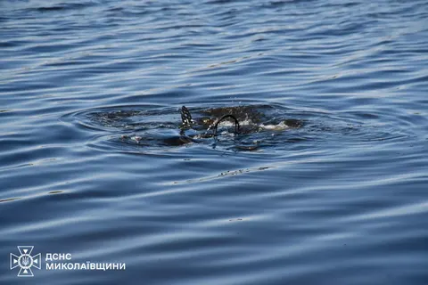16 загиблих на водоймах Миколаївщини: що відомо про трагедії