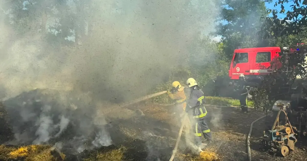 Вісім пожеж за добу на Вінниччині: що стоїть за спалахами на відкритих територіях