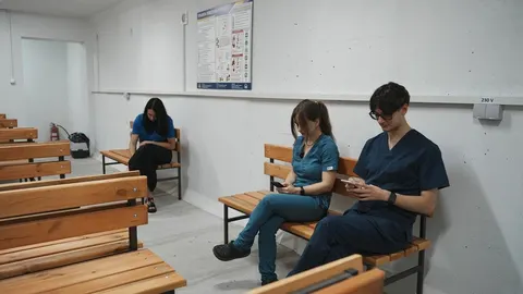 У харківському Центрі поводження з тваринами відкрили укриття з окремими входами для котів і собак