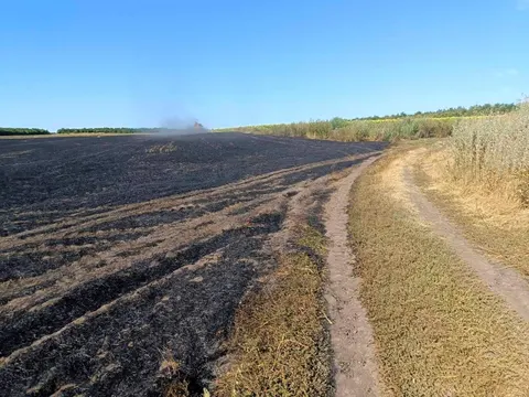 Спалив стерню на Миколаївщині: штраф лише 3 тисячі гривень
