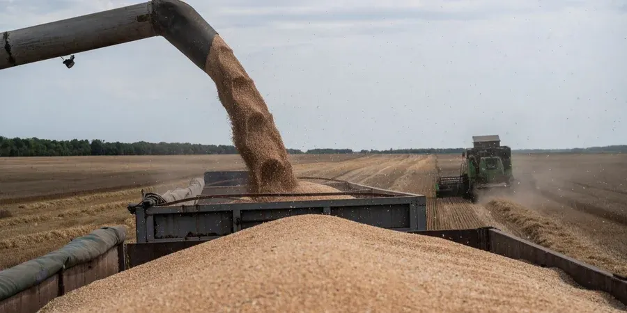 Україна ввела санкції проти 13 суден за вивіз зерна з окупованих територій