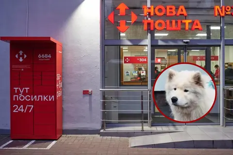 «Нова пошта» у репутаційній кризі: як компанія виходила зі скандалу через собаку