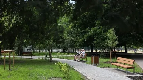 У Львові облаштують «Сад пам’яті» між Біговою та Глинянським трактом