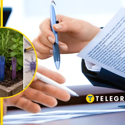 Порожні ручки: 7 способів дати їм друге життя в побуті